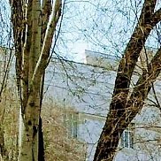 �����, 56 ���, ������