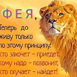 ���� Jexelag, ������� - ��������� 21 ������� 2025