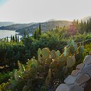 ���� �������, ������, 60 ��� - ��������� 22 ������ 2025 � ������ ���� ����������