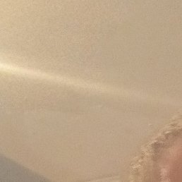 �������, ���������, 41 ���