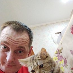 , 33, 