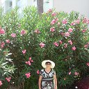 ���� �������, ��� - ��������� 27 ������� 2025 � ������ ���� ����������