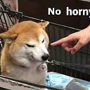 ���� Ewewe, ����, 27 ��� - ��������� 8 ������ 2023 � ������ ���� ����������