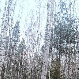 Dreamer, �������������