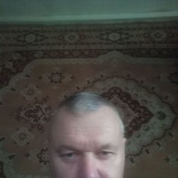 , 66, 