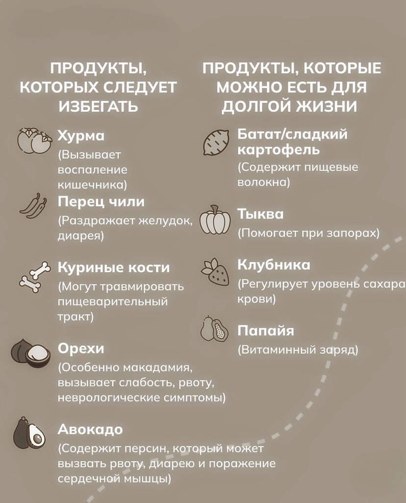 Эти продукты могут навредить вашей кошке! Сохраните карусель - она поможет сберечь здоровье вашего ... - 4