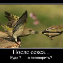 ���� ����, ������ - ��������� 25 ������ 2025 � ������ ������ ��������