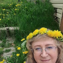 , 55, 