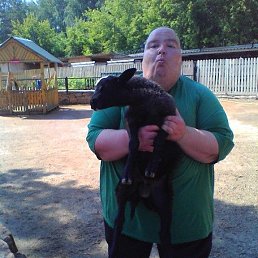 ���� ������, ���������, 46 ��� - ��������� 15 ������� 2026