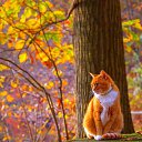 ���� Loza Stas, ��������, 42 ���� - ��������� 16 ������ 2023 � ������ ������ ��������