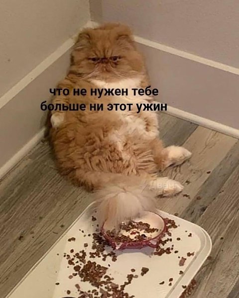  ... - 2