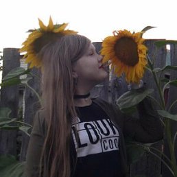 ����, 22 ����, �����