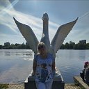 ���� ����, �����-���������, 54 ���� - ��������� 20 ���� 2026 � ������ ���� ����������
