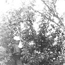 ���� ��������, �����������, 57 ��� - ��������� 21 ������ 2025 � ������ ���� ����������