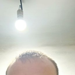 , 36, 