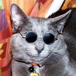 ����, ���������, 58 ���