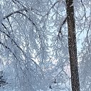 ���� �����, ������ - ��������� 21 ������ 2026 � ������ ���� ����������