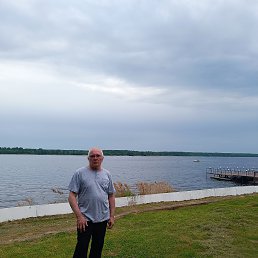 , 61, 