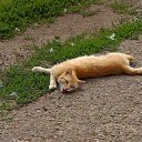 ���� �.�., ���� - ��������� 5 �������� 2024 � ������ ������ 2024�