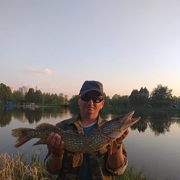  , 49, 