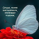 ���� ��������, ������������ - ��������� 25 ������ 2026 � ������ ������ ��������