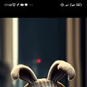 ���� �������, ������, 53 ���� - ��������� 13 ������ 2024 � ������ ���� ����������