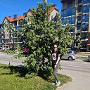 ���� �������, ����������� - ��������� 1 ������� 2026 � ������ ���� ����������