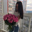 ���� ������, ������, 29 ��� - ��������� 15 ������� 2026 � ������ ���� ����������