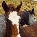  V@lenti,  -  11  2025    