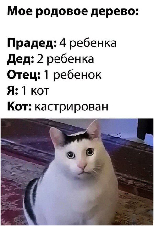 ������ �������� - 3 ���� 2025 � 23:44