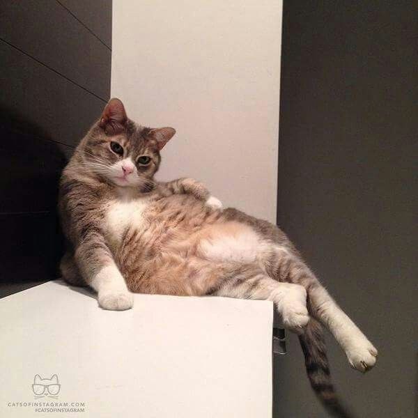���� �� � ����� ��� ��������� - 2