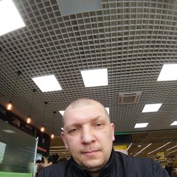 ���� �������, ���������, 45 ��� - ��������� 31 ������ 2024