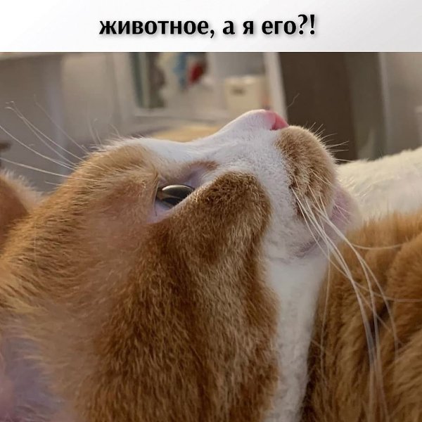 ��� ���� � ����� �� �� - 23 ������ 2026 � 12:42 - 2