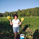 ���� ������, �����������, 66 ��� - ��������� 21 ������� 2023 � ������ ���� ����������