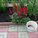 ���� ����, ��������, 65 ��� - ��������� 26 ���� 2025 � ������ �7�