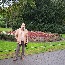 , 50, 