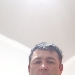 ���� ���, ������, 40 ��� - ��������� 26 ������ 2024