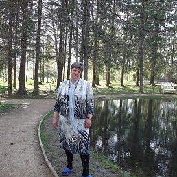 �����, �����-���������, 64 ����