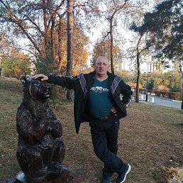 ������, 49 ���, ���������