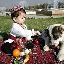 ���� �����, ������, 54 ���� - ��������� 8 ����� 2024