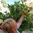 ���� ��������, ���������� - ��������� 23 ������� 2026 � ������ ���� ����������