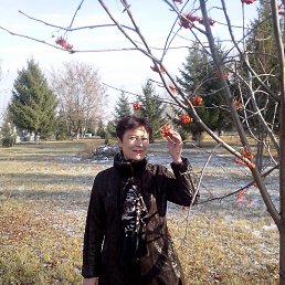 ������, ����, 54 ����