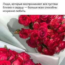 ����, �����������, 37 ���