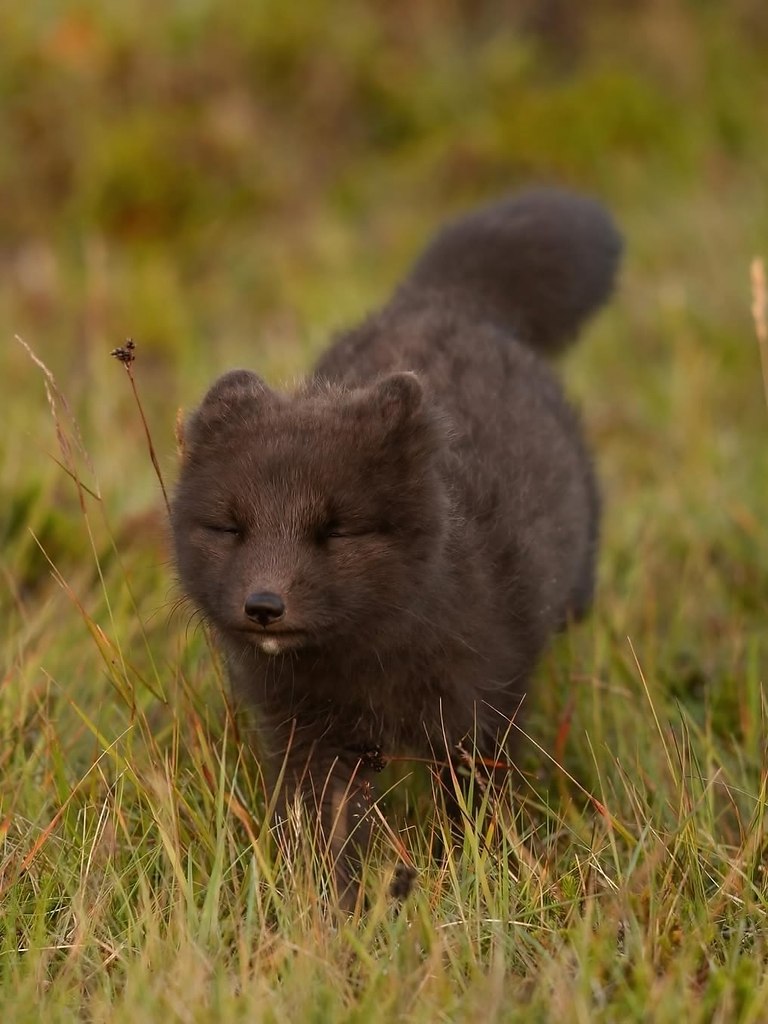 oa  a, o aa peca ,  cpa oea o ce c, o ep ca ca ... - 3