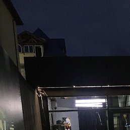 �������, �����������, 43 ����