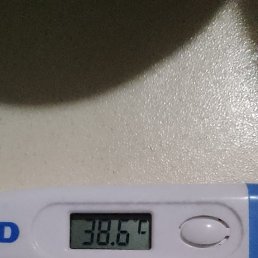 ���� ������, ��������, 31 ��� - ��������� 26 ������ 2024
