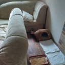 ���� ����-�����������, �����������, 66 ��� - ��������� 12 ������ 2025 � ������ ������ ��������