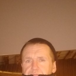 ����, ������, 43 ����