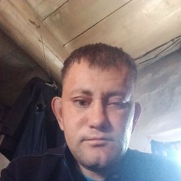 , 41, 