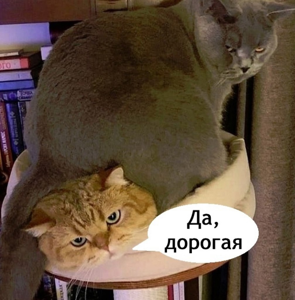   - 5